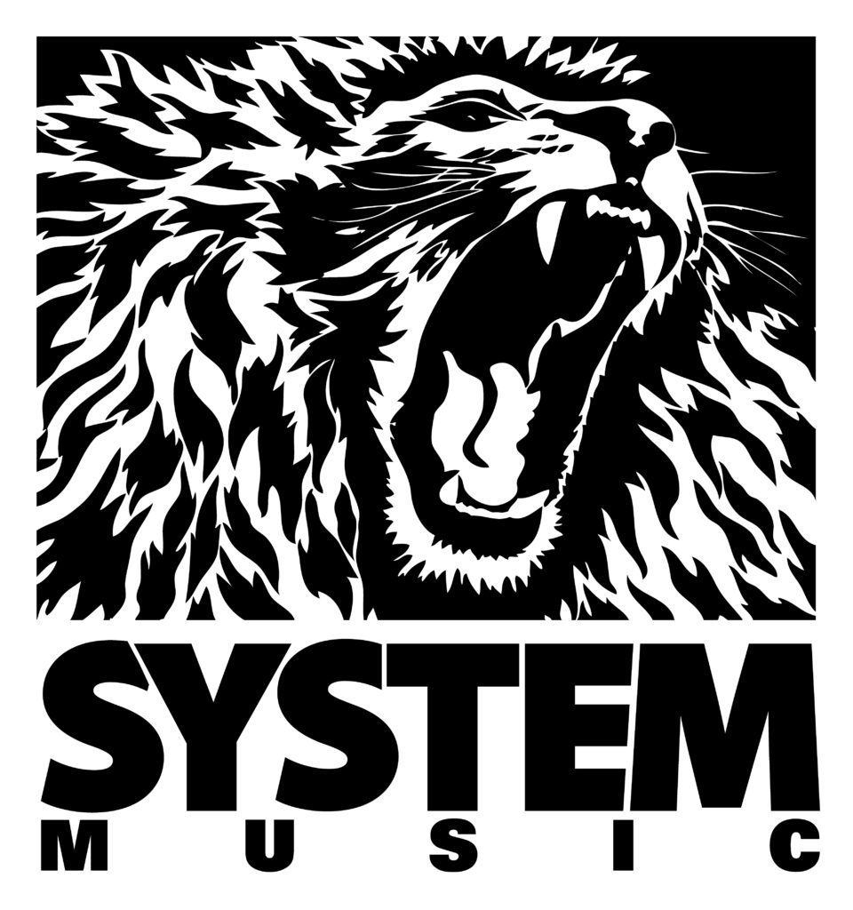 SYSTEM-Music-Synchronicity